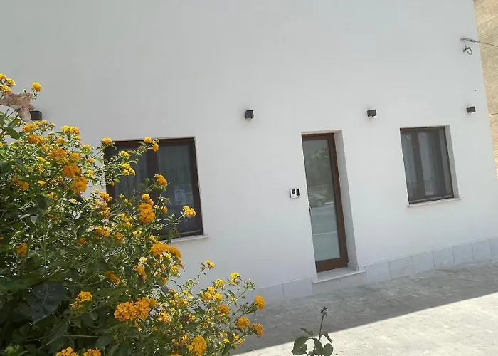 Olea 卡斯泰卢佐