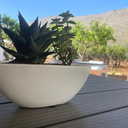 Olea Nocleg ze śniadaniem