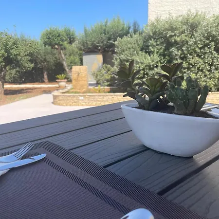 Olea Nocleg ze śniadaniem 4*