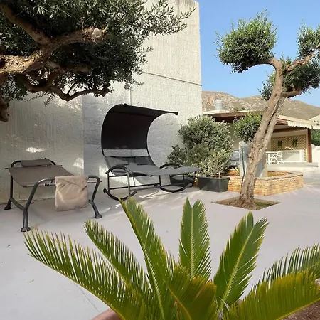 Olea