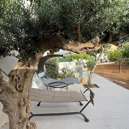 Olea Nocleg ze śniadaniem Castelluzzo