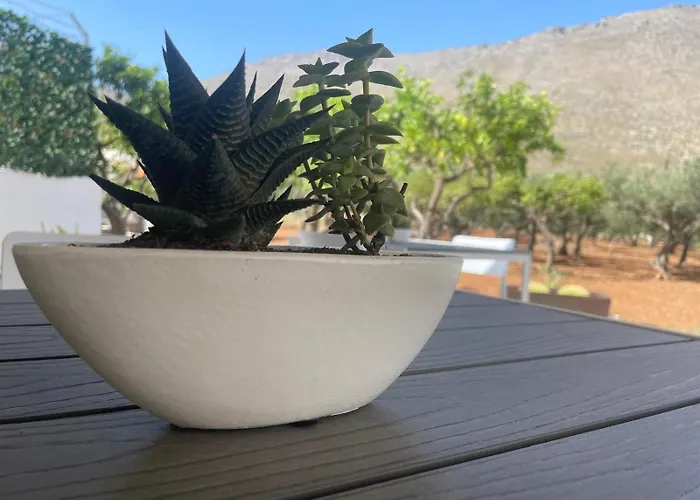 Olea Bed & Breakfast